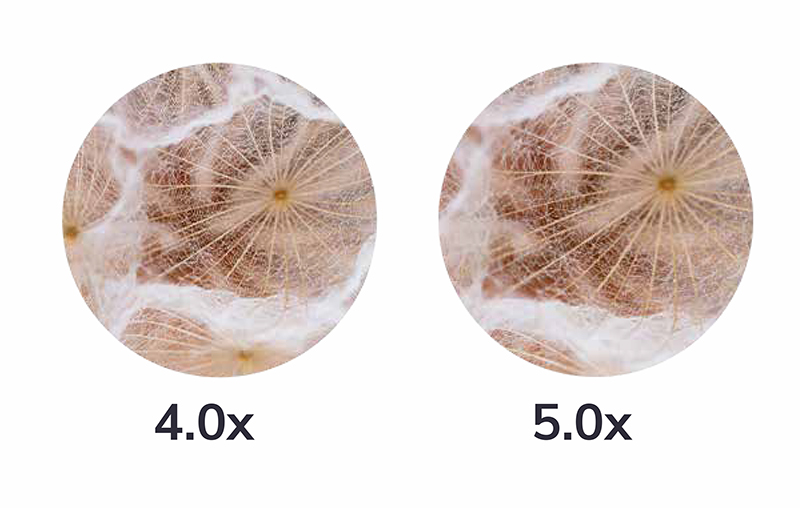 SWAN 17-2.jpg SWAN 17-2.jpg