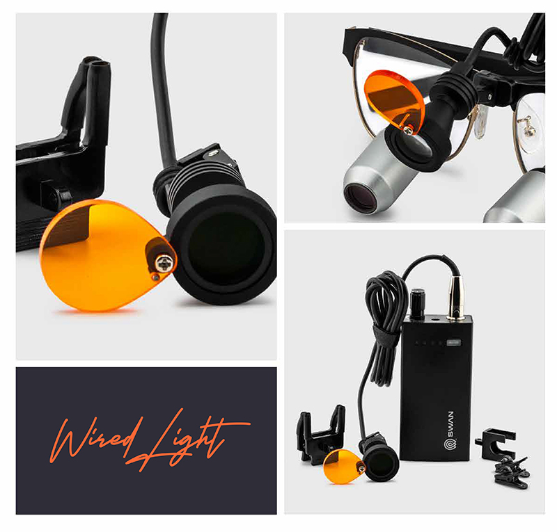 SWAN 27.jpg SWAN 27.jpg