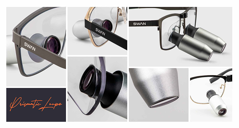 SWAN 19.jpg SWAN 19.jpg