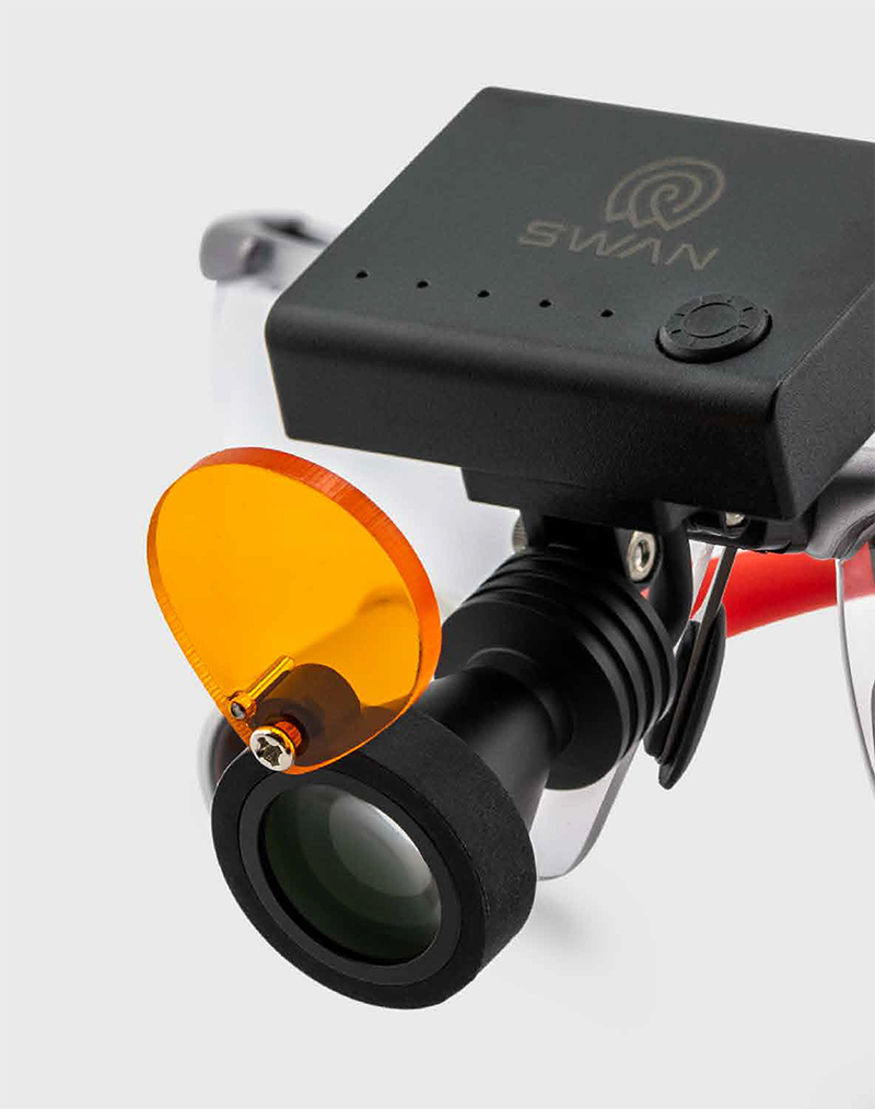 SWAN 23.jpg SWAN 23.jpg