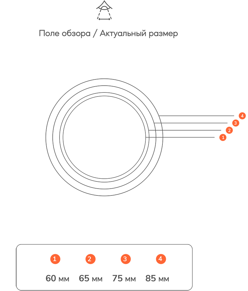 SWAN 18-2.jpg SWAN 18-2.jpg