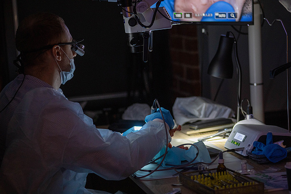 Направленная костная регенерация12.jpg