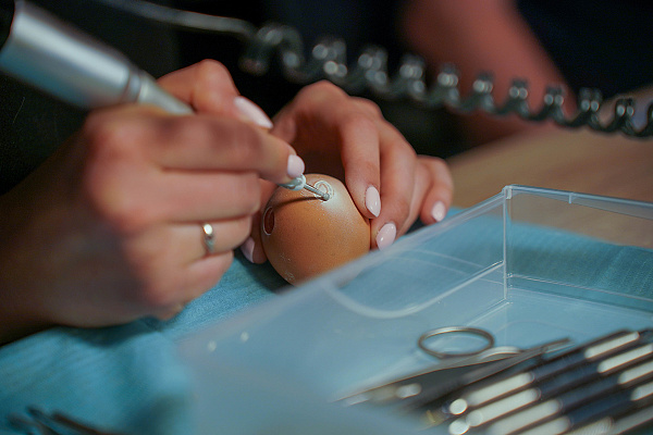 24 марта Вольберг15.jpg