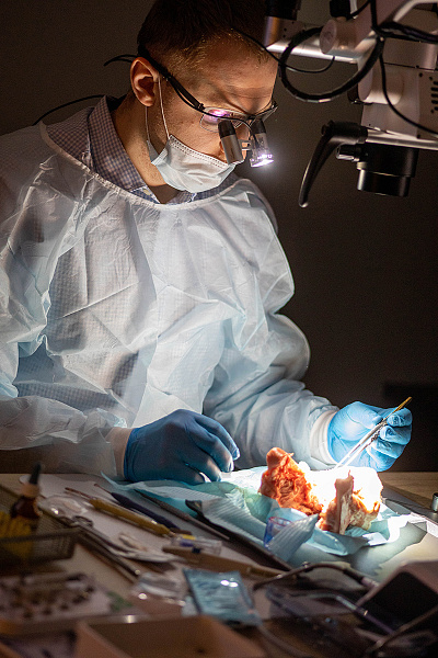 Направленная костная регенерация9.jpg