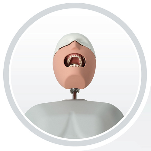 Jingle JG-C9 — Стоматологический фантом пациента мобильный