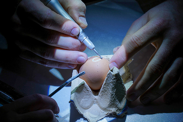 24 марта Вольберг6.jpg