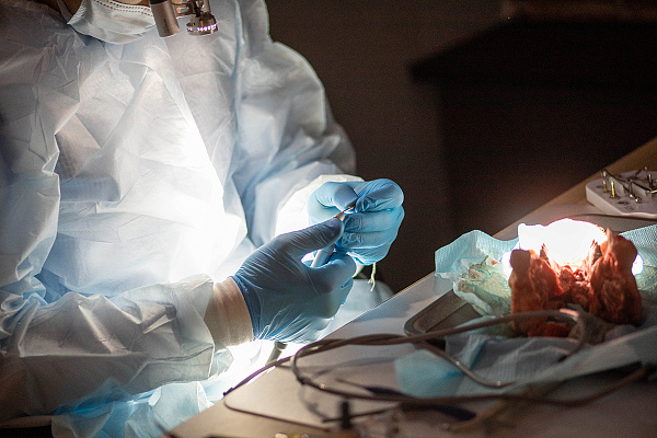 Направленная костная регенерация11.jpg