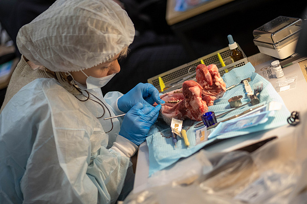 Направленная костная регенерация3.jpg