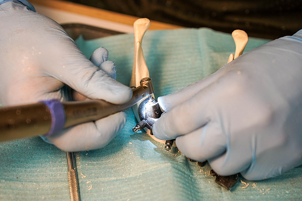 29-30 Данилов15.jpg